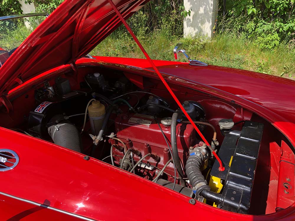 A motor
